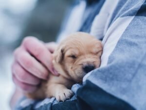 Man holding a puppy